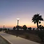 Flamingo *
