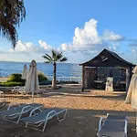 Flamingo Paphos