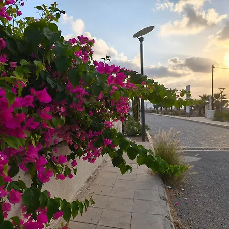 Apartament Flamingo *