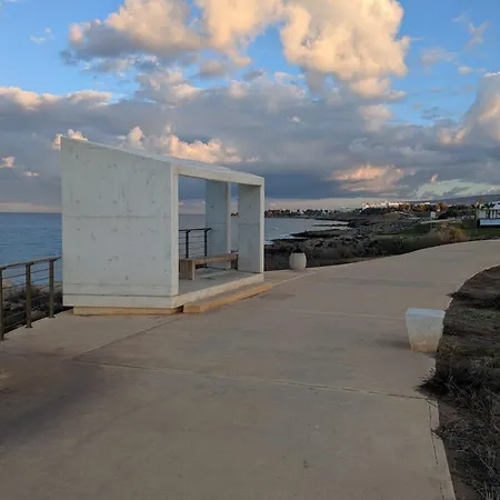 Flamingo * Пафос