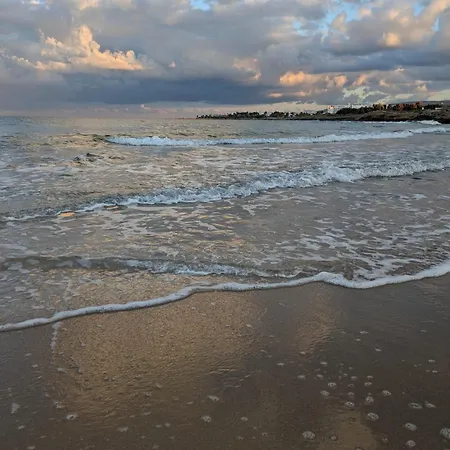 Apartament Flamingo *