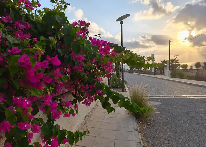 Lägenhet Flamingo *