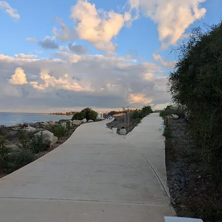 Flamingo * Paphos